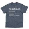 Teaghlach Definition Shirt - Irish Gift With Humor 3