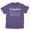 Teaghlach Definition Shirt - Irish Gift With Humor 5