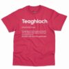 Teaghlach Definition Shirt - Irish Gift With Humor 7