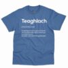 Teaghlach Definition Shirt - Irish Gift With Humor 8